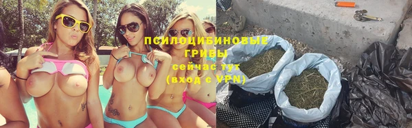 не бодяженный Новозыбков