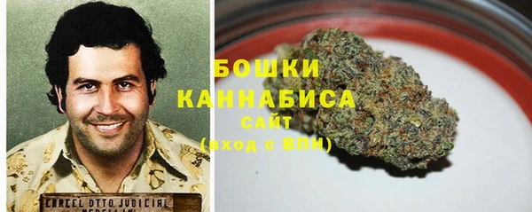 не бодяженный Новозыбков
