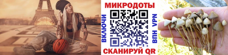 Псилоцибиновые грибы мицелий  omg зеркало  Одинцово 