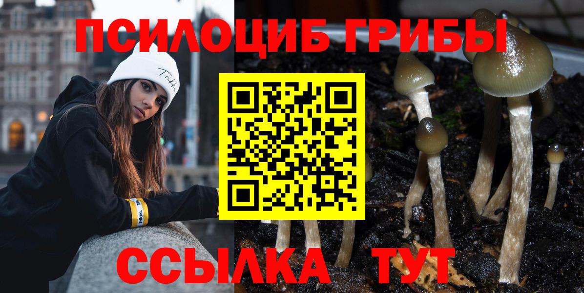 Галлюциногенные грибы Magic Shrooms  Псилоцибиновые грибы Psilocybine cubensis  Вход с VPN  сколько стоит  Одинцово 